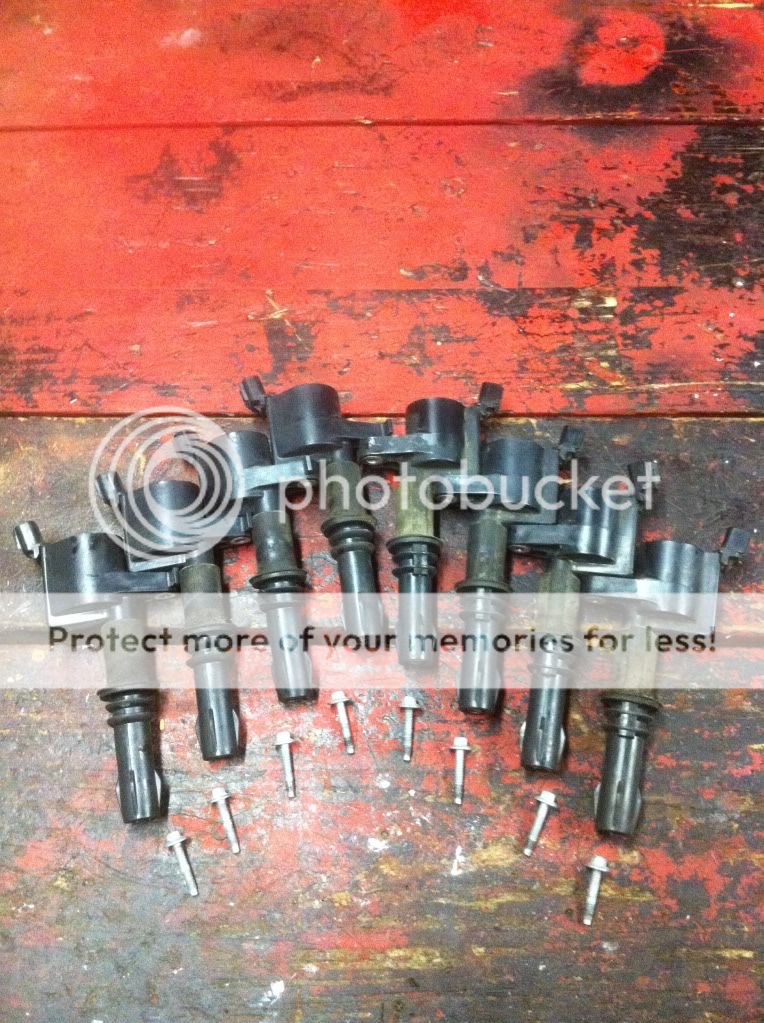 For Sale 3v coil packs Ford Mustang Forums