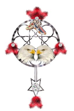 Indianer Pictures, Images and Photos