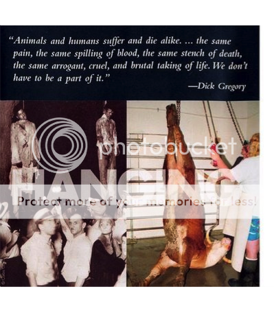 hot child is quotes animal animal cruelty quotes. hot child is quotes animal