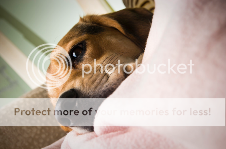 IMAGE: http://i475.photobucket.com/albums/rr120/noWAFFLESforU/Picture15.png