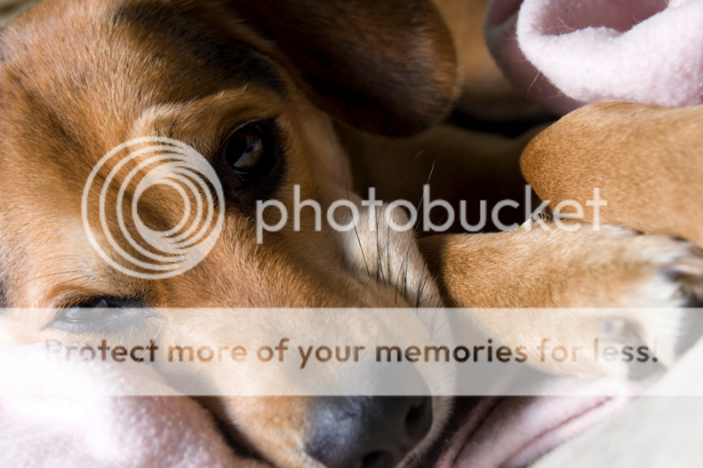 IMAGE: http://i475.photobucket.com/albums/rr120/noWAFFLESforU/Picture18.png