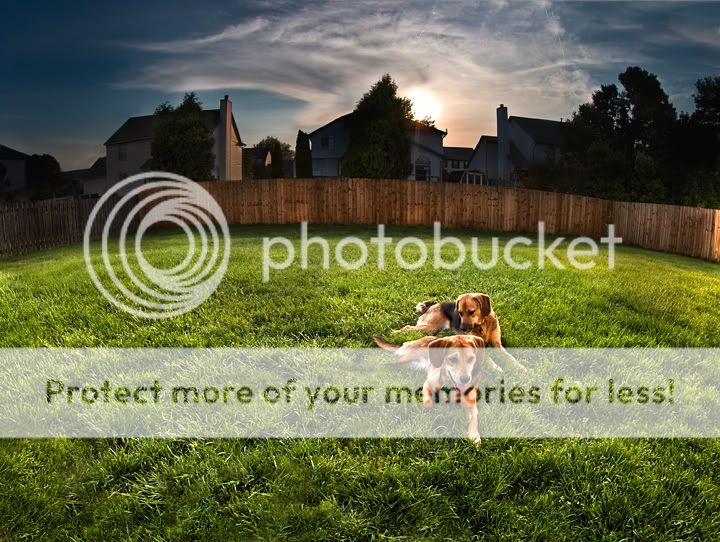 IMAGE: http://i475.photobucket.com/albums/rr120/noWAFFLESforU/roxy%20and%20riley/img_7941_hdr_final_LR.jpg