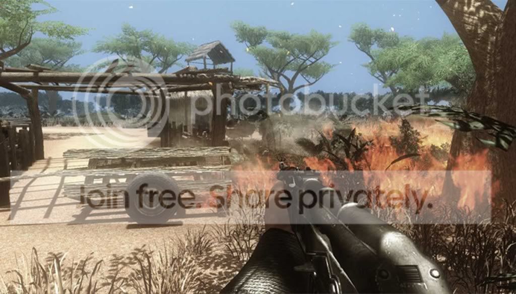 t5ozmd.jpg
